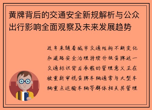 黄牌背后的交通安全新规解析与公众出行影响全面观察及未来发展趋势